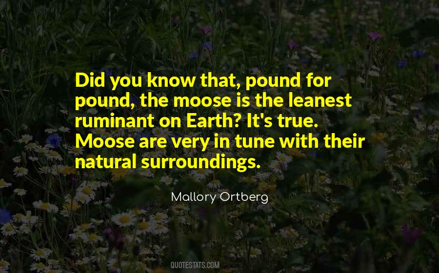 Natural Surroundings Quotes #1837401