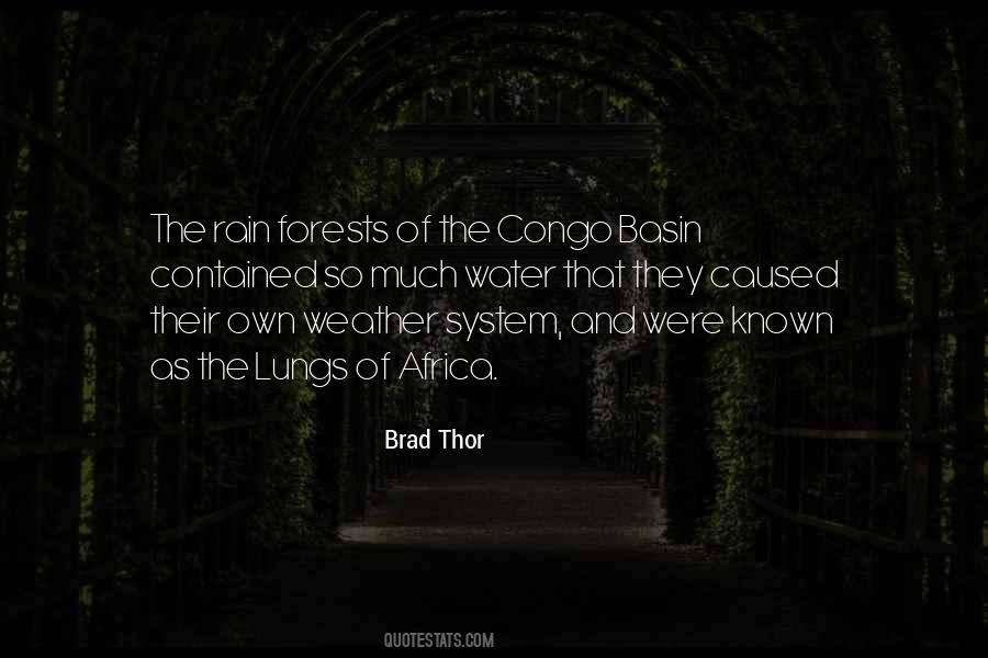 Quotes About Rain Forests #1819436