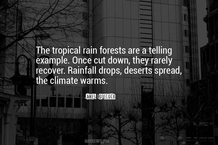 Quotes About Rain Forests #905566