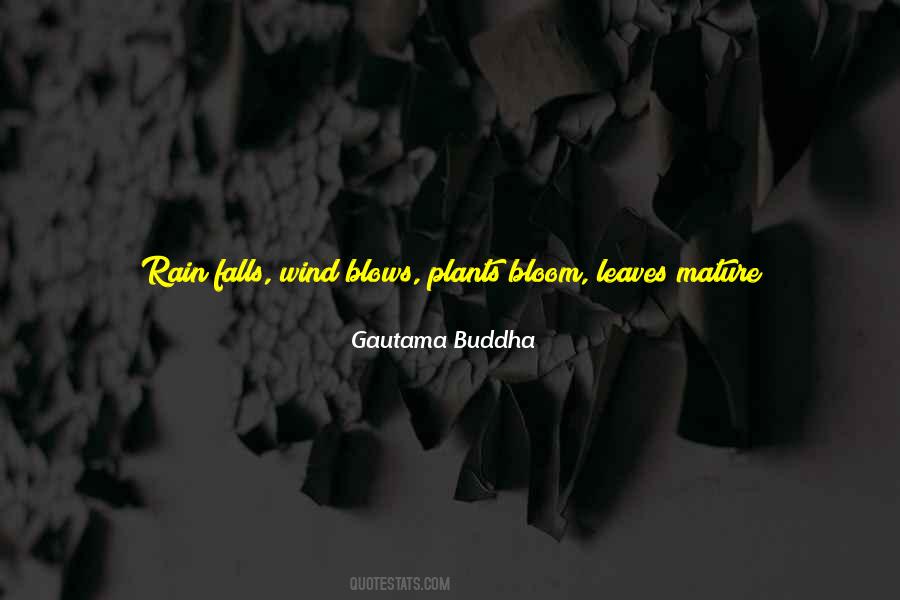 Quotes About Rain And Plants #373366