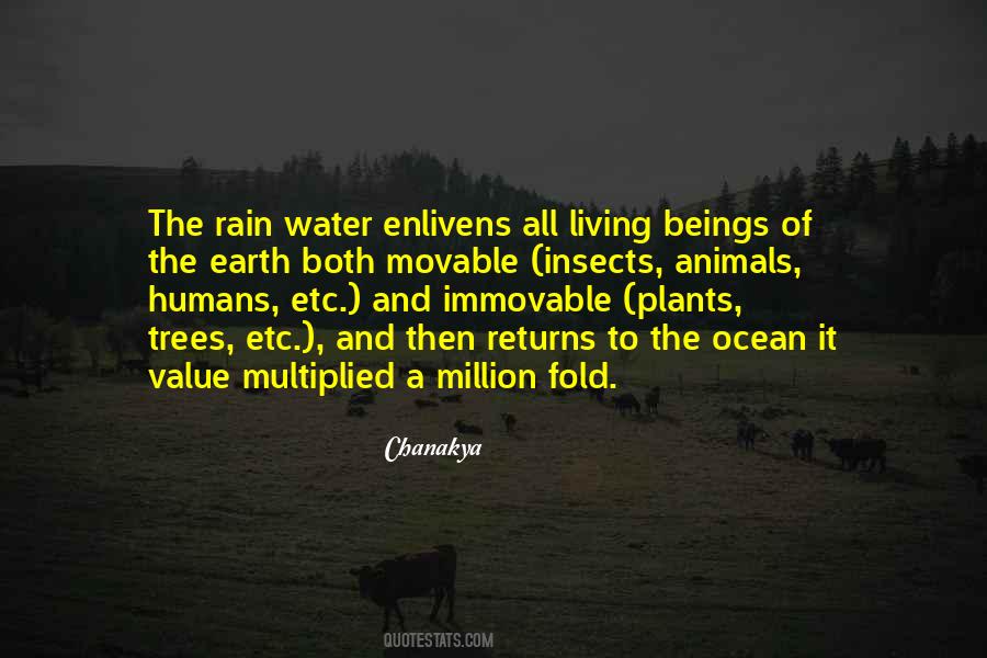 Quotes About Rain And Plants #932602
