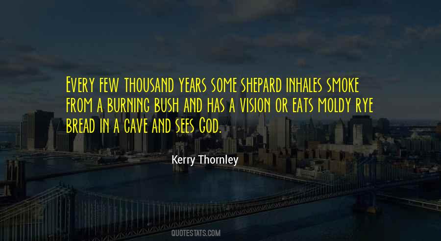 Vision From God Quotes #1321194