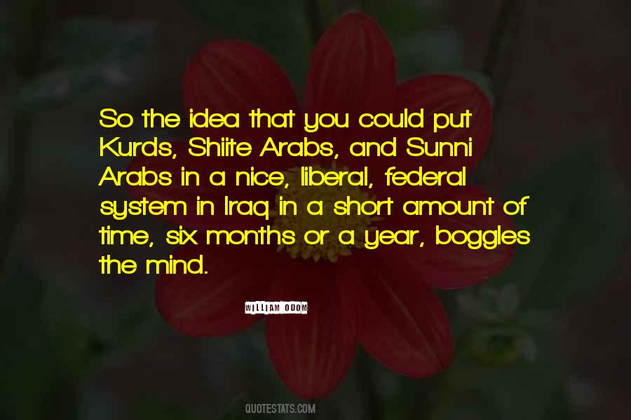 Quotes About Iraq #1625281