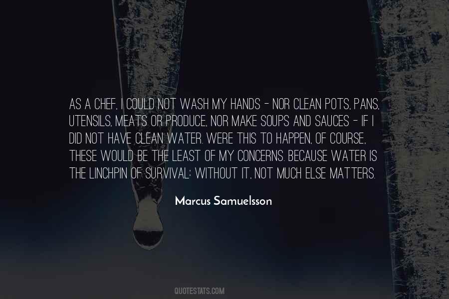 Quotes About Clean Water #460992