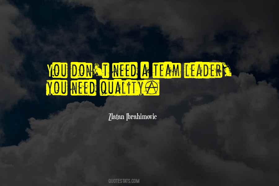 Quotes About A Team Leader #1745526