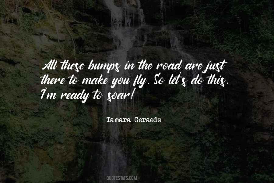 Quotes About Bumps On The Road #1079087