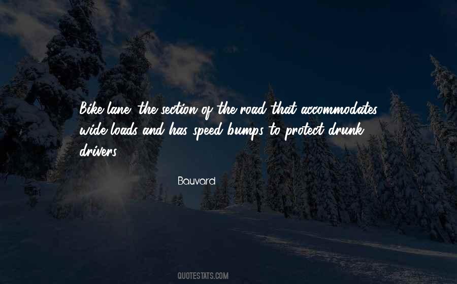 Quotes About Bumps On The Road #1331363