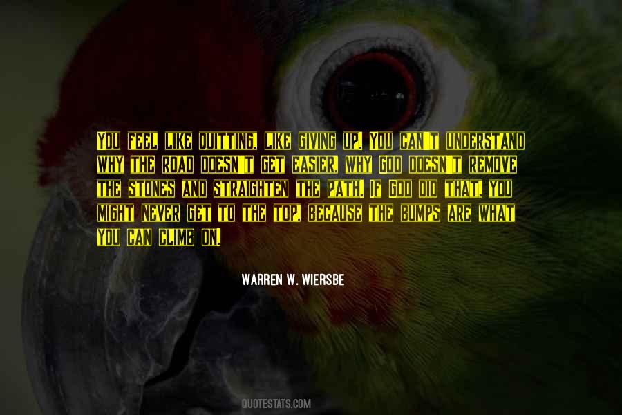 Quotes About Bumps On The Road #1555264