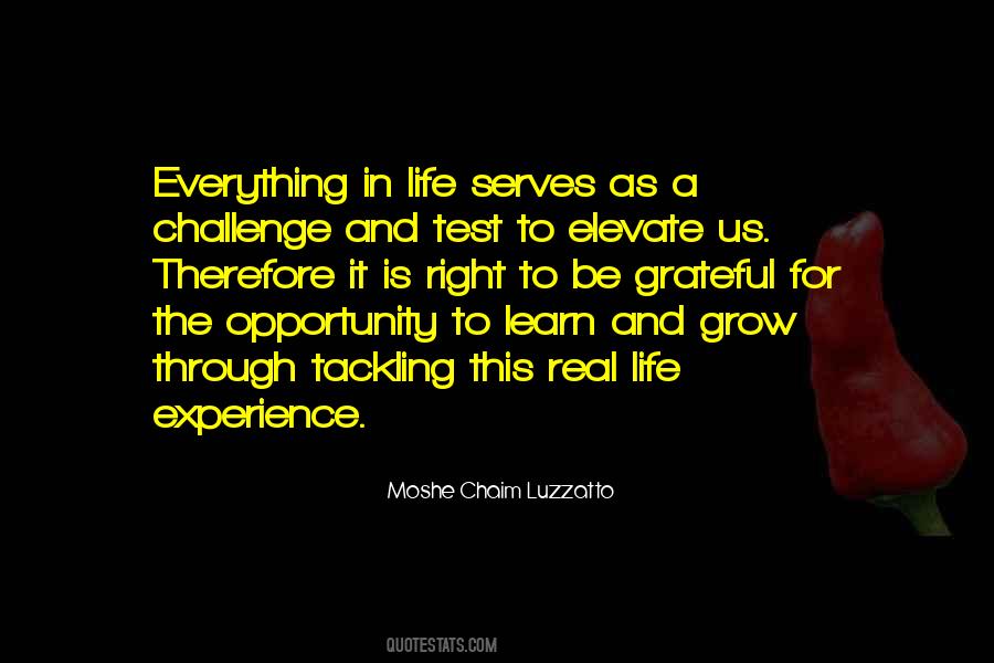Life And Experience Quotes #17896