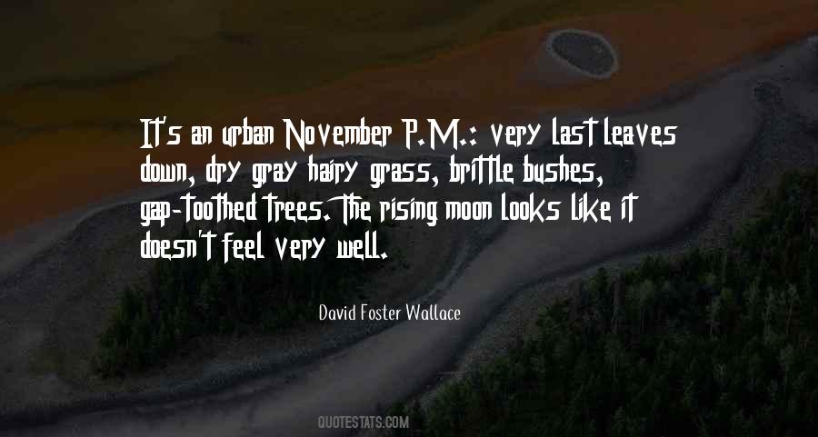 Quotes About November #1038464