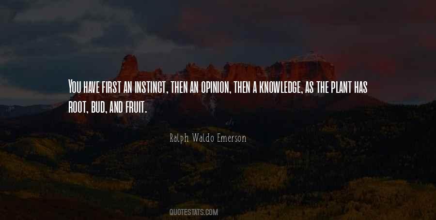 First Instinct Quotes #434499