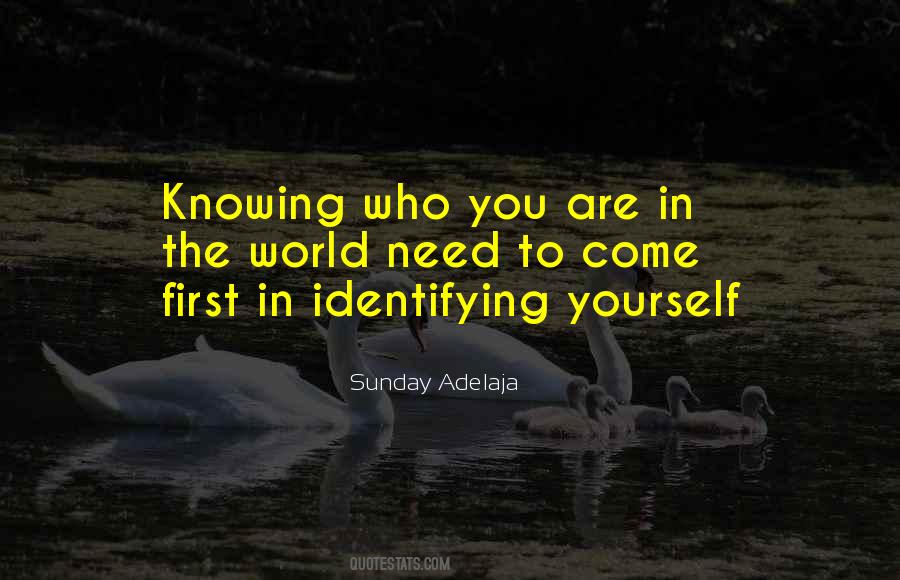 Discovery Of Identity Quotes #1037017
