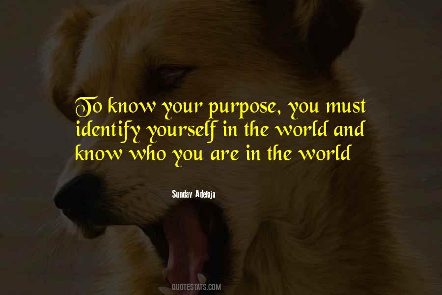 Discovery Of Identity Quotes #736113