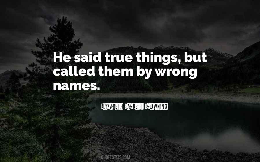 True Things Quotes #1003113