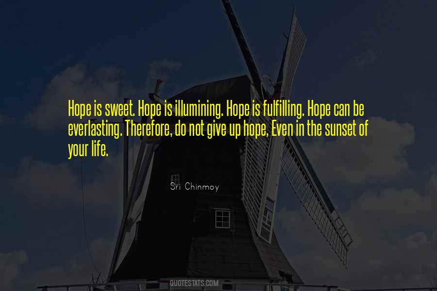 Quotes About Not Giving Up Hope #492334