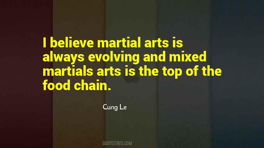 Quotes About Mixed Martial Arts #538179