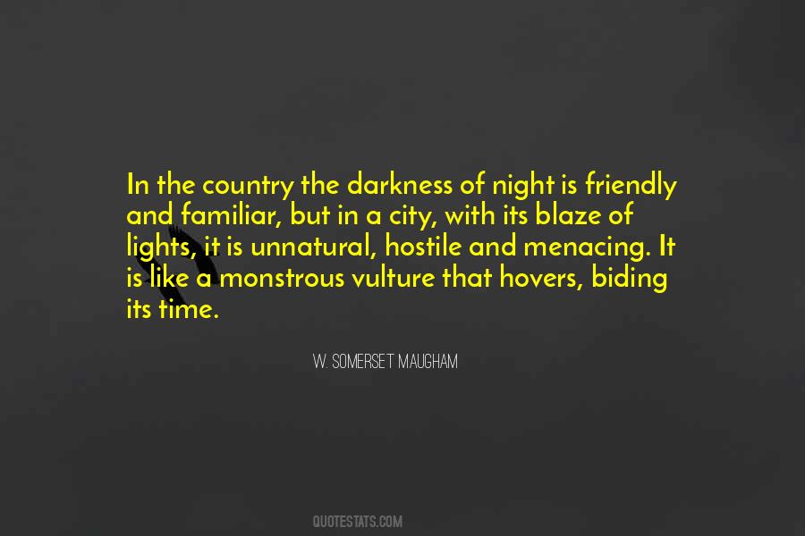 Quotes About City Lights At Night #78893