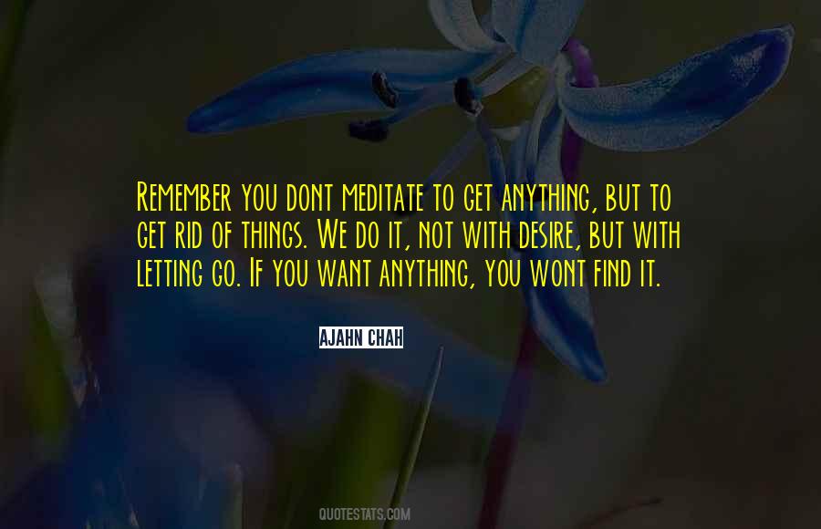 Quotes About Not Letting You Go #121832