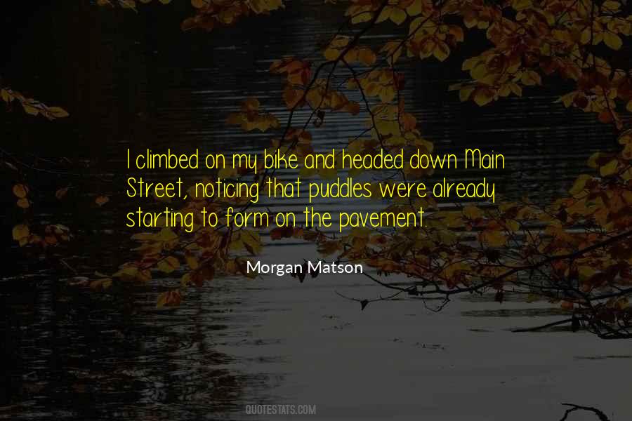 Quotes About Puddles #1078111