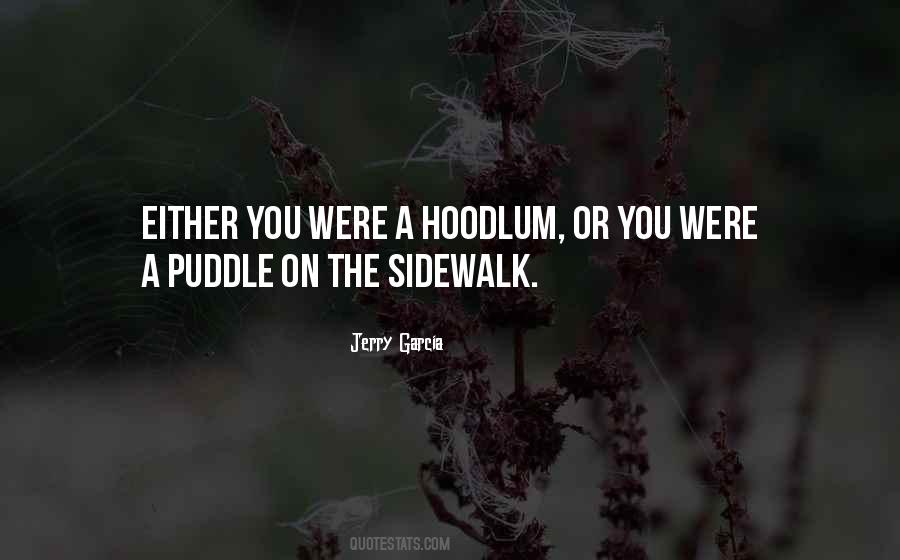 Quotes About Puddles #968328