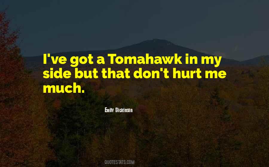 Quotes About Got Hurt #178138
