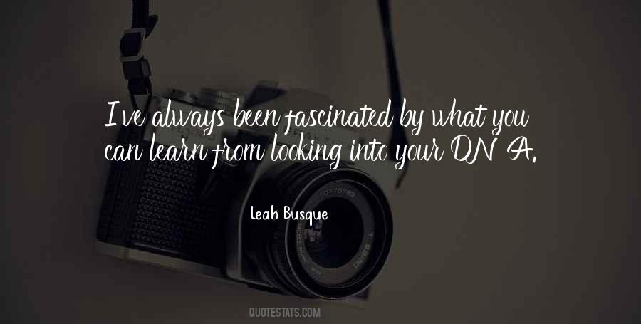 Busque Quotes #547280