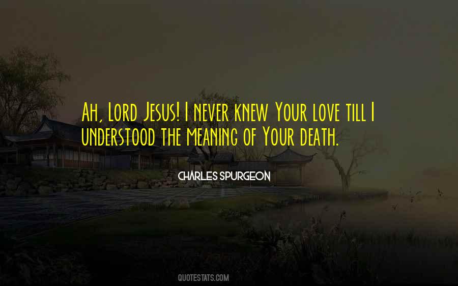 Quotes About Jesus Love #19801