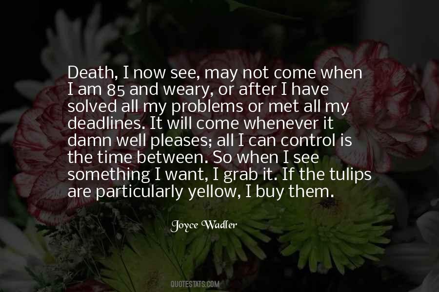 Quotes About Solved Problems #284999
