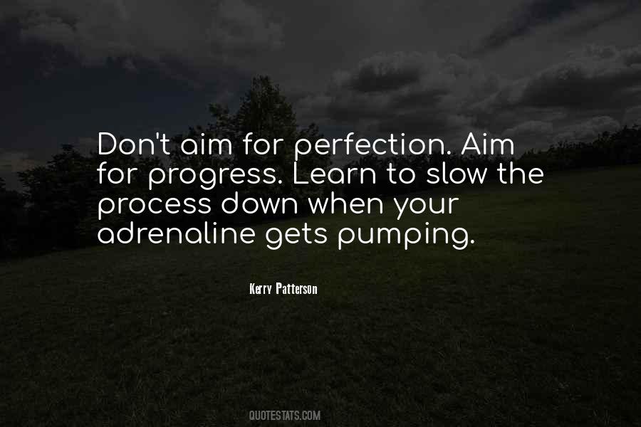 Quotes About Progress Not Perfection #1573087