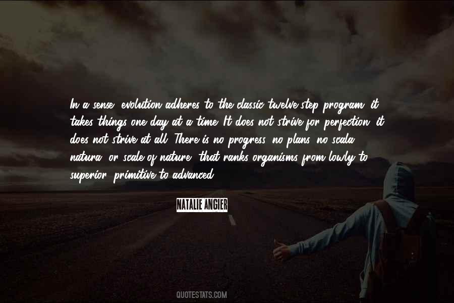 Quotes About Progress Not Perfection #930073