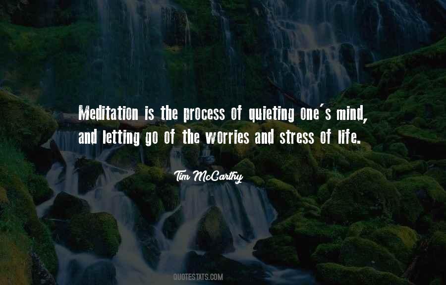 Quotes About Meditation Mind #281964