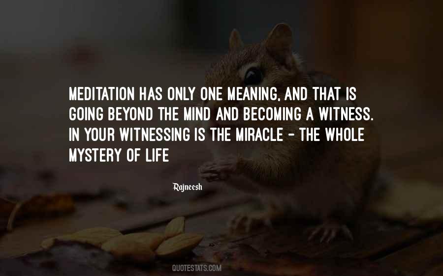 Quotes About Meditation Mind #90664