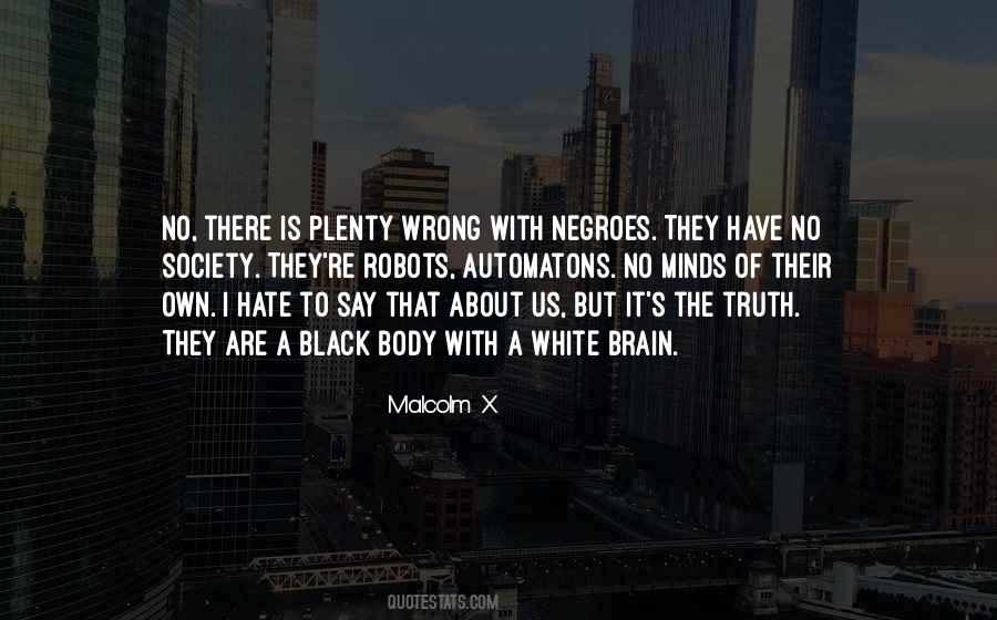 Quotes About Racism And Hate #23596