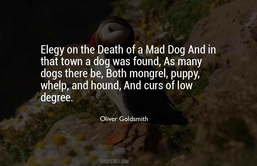 Quotes About Death Of A Dog #198463