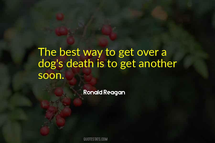 Quotes About Death Of A Dog #40868