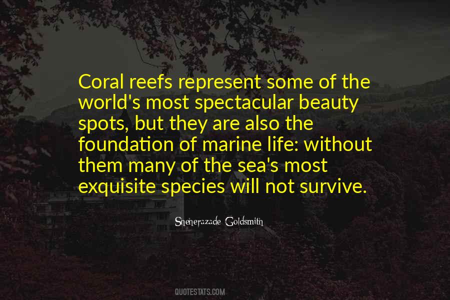Quotes About Beauty Spots #593426
