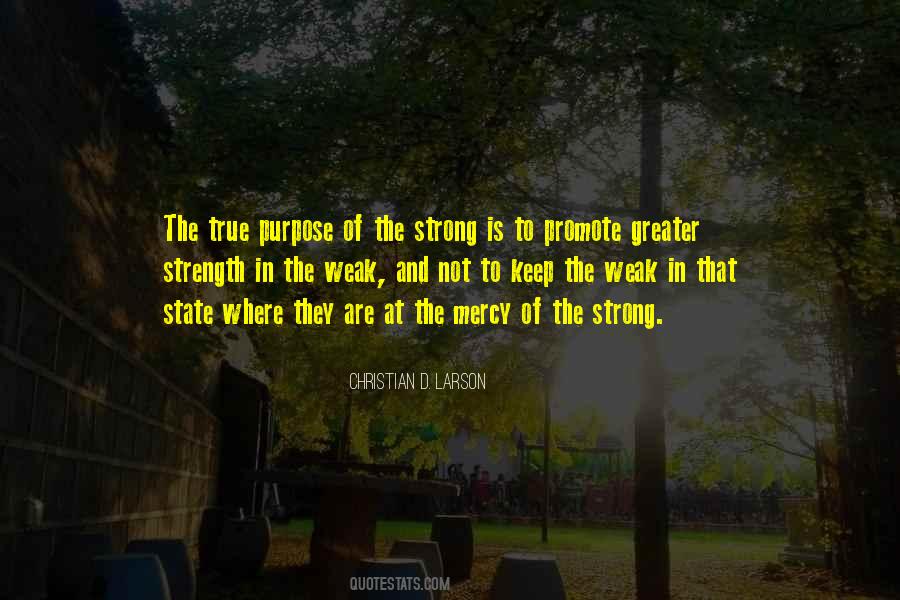 Quotes About Greater Purpose #1445354