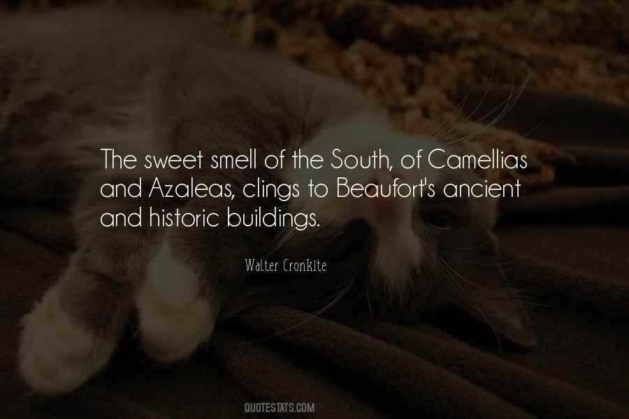 Quotes About Azaleas #63316