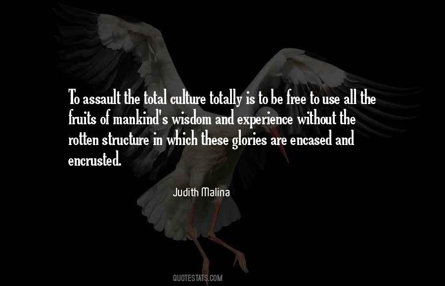 Quotes About Assault #882615
