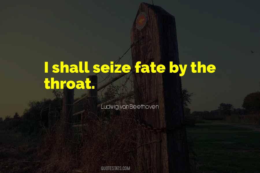 13 Ways Of Looking At A Fat Girl Quotes #94187