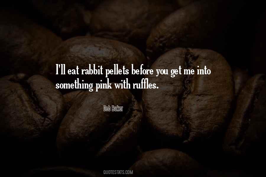 Quotes About Rabbit #1047280