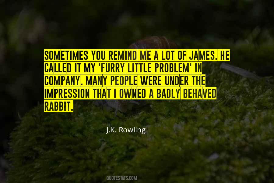 Quotes About Rabbit #1194041