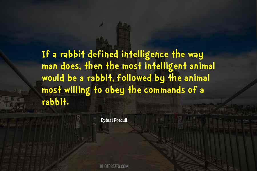 Quotes About Rabbit #1335879