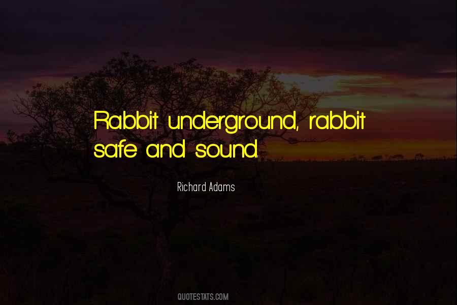 Quotes About Rabbit #1386663