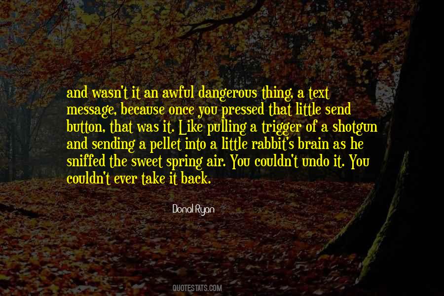 Quotes About Rabbit #1398857