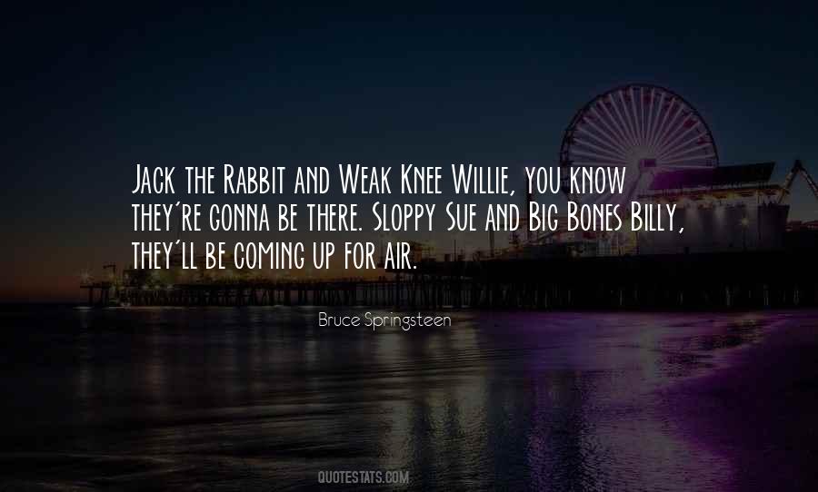 Quotes About Rabbit #1423036