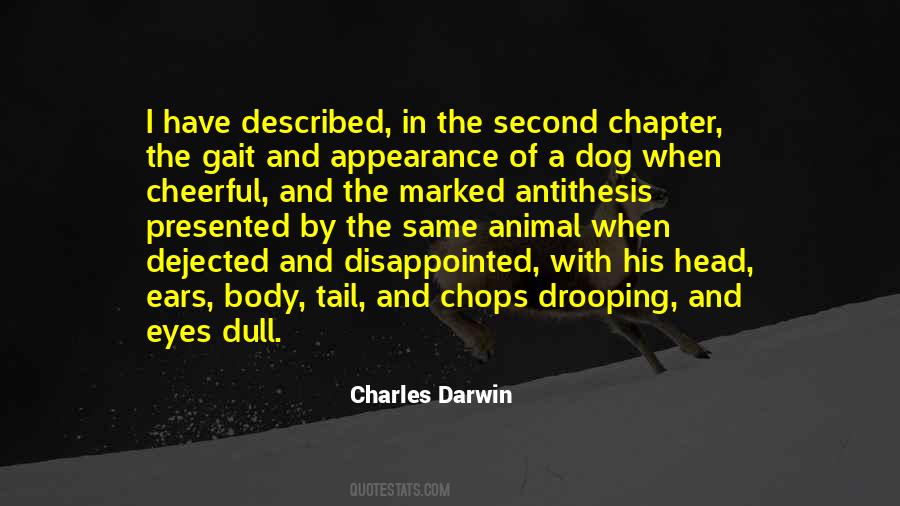 Eyes Of A Dog Quotes #418352