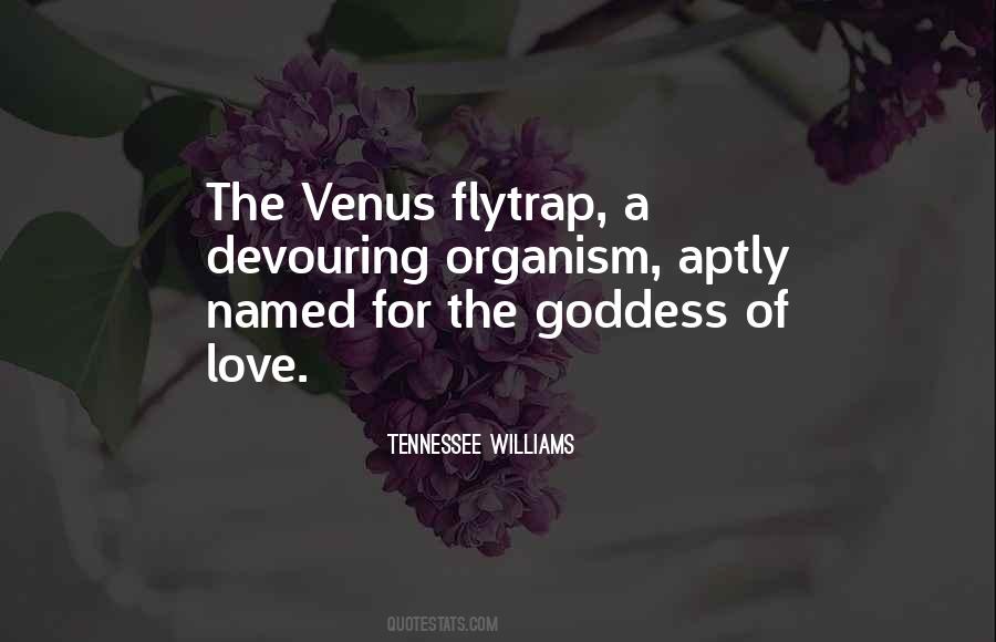 Venus Flytrap Quotes #17465