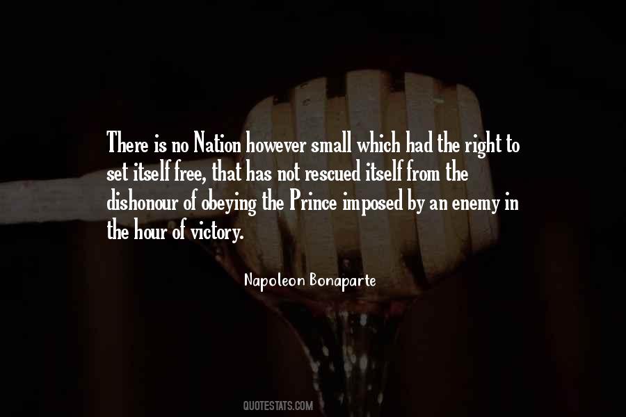 Small Victory Quotes #713421