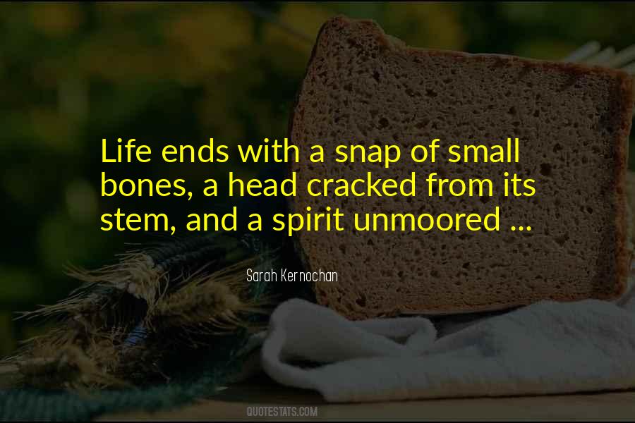 Quotes About Life Ends #495683